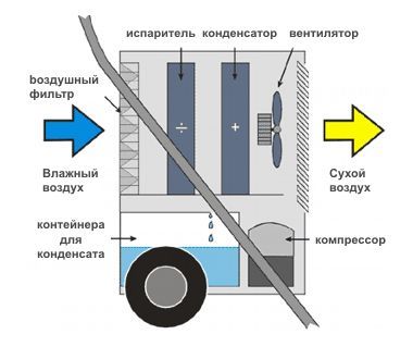 master_DHP_65_2.jpg master_DHP_65_2.jpg