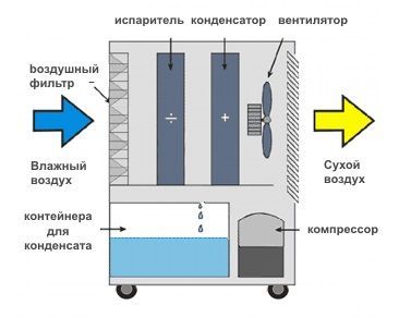 DH_721_MASTER_2.jpg DH_721_MASTER_2.jpg