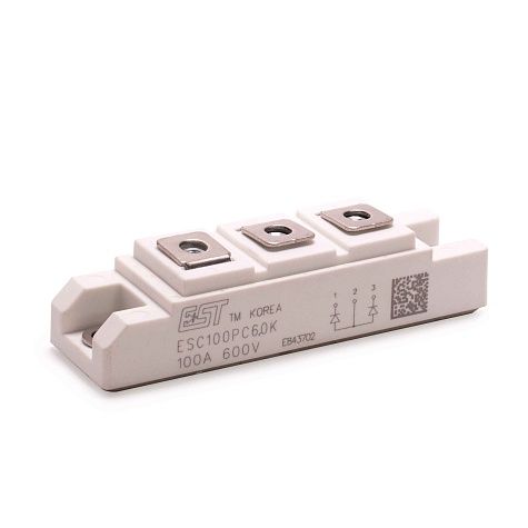 Диодный мост ESC100PC60K (R-04-010400-40-00)